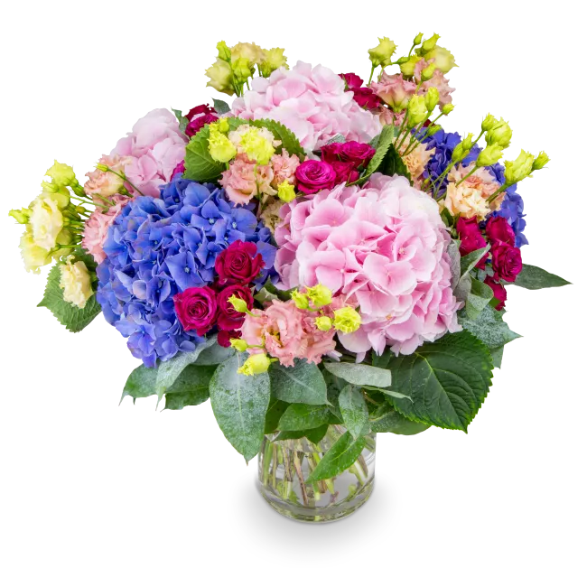 Bouquet of Hydrangeas and Spray Roses
